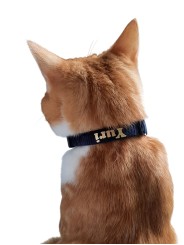 Collier chat personnalisé – Fait main en France | Sécurisé et stylé